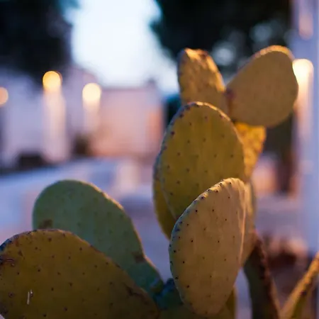 Masseria Cimino Landhuis *